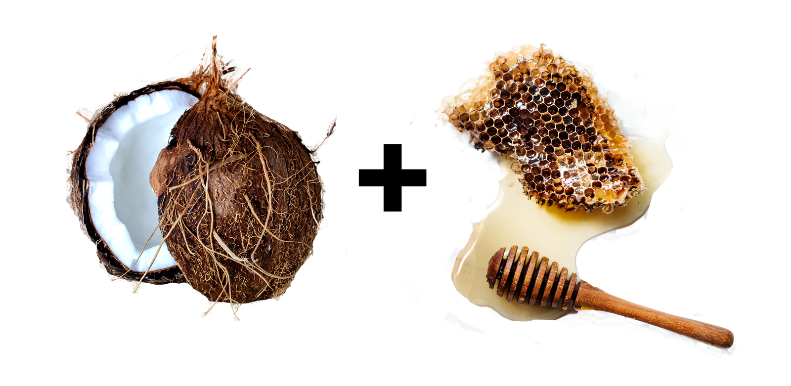 coconut+honey coconut+honey